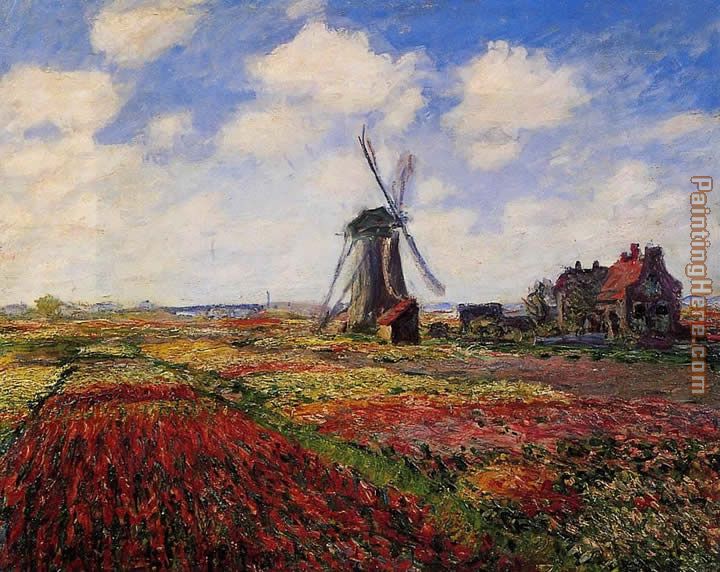 Field of Tulips in Holland painting - Claude Monet Field of Tulips in Holland art painting